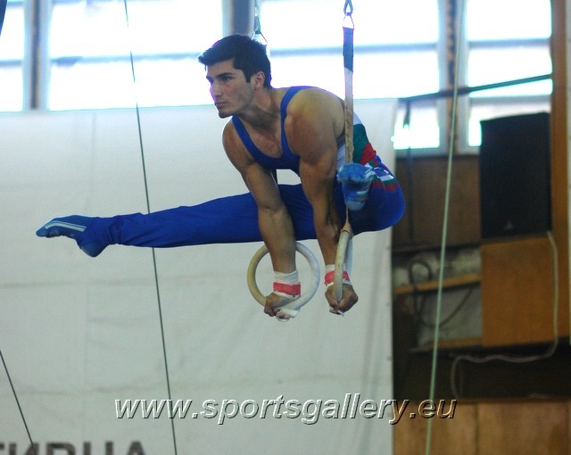Bulgarian Gymnastics Championships 2008