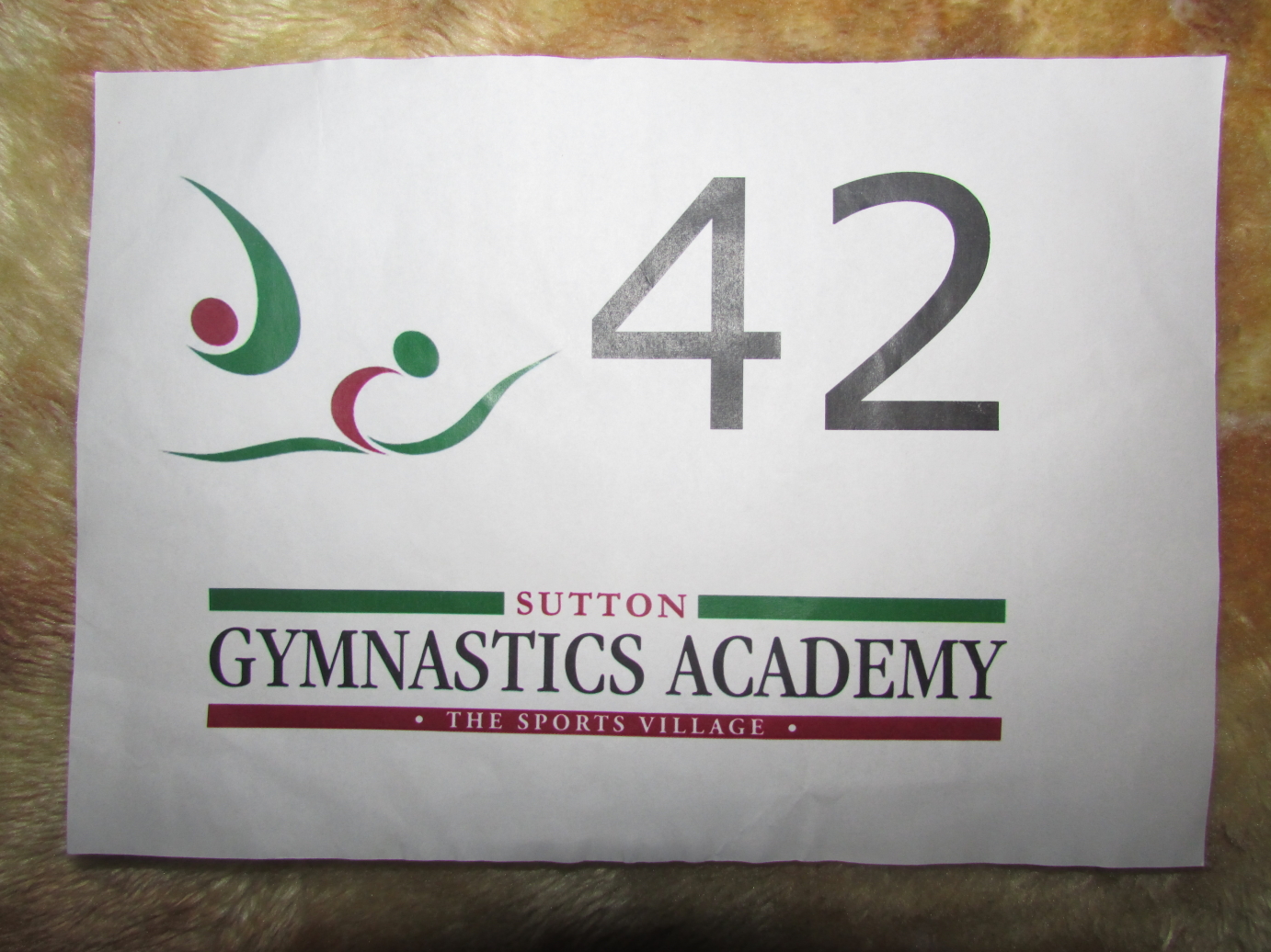 Sutton Gymnastics Academy 2014