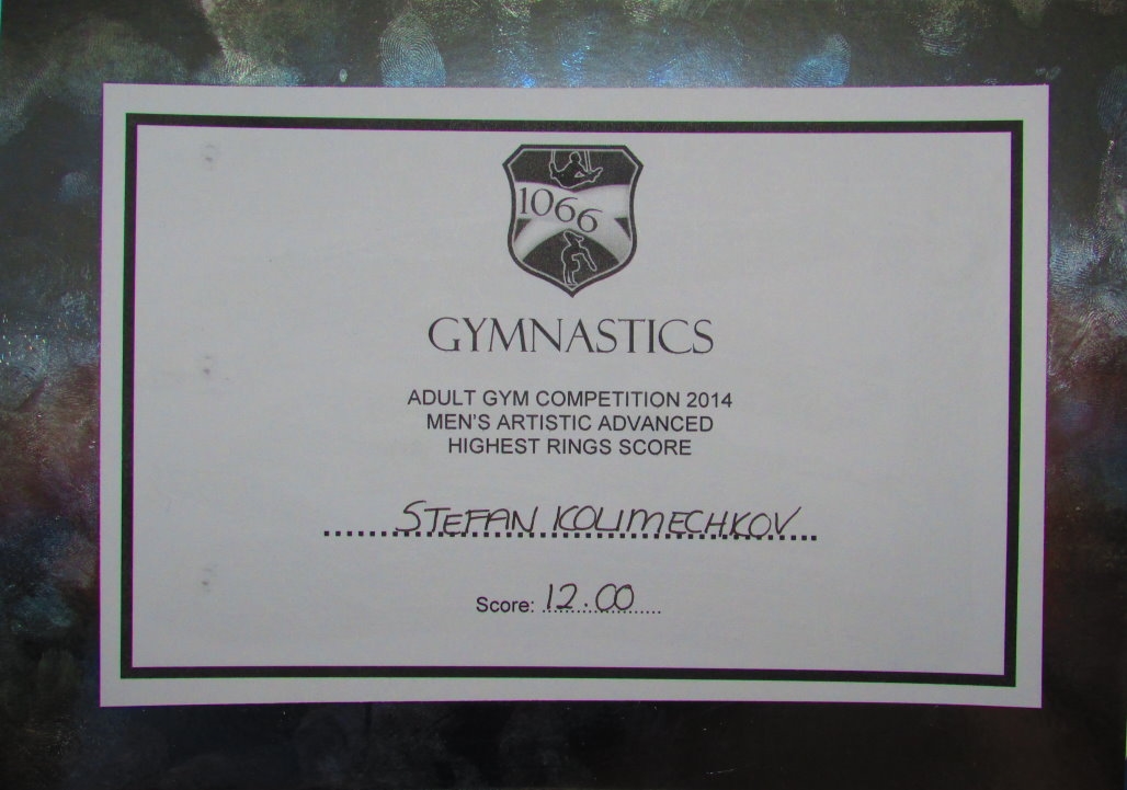 1066 Gymnastics Academy 2014 Competition - Rings