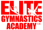 Elite Gymnastics Academy London UK