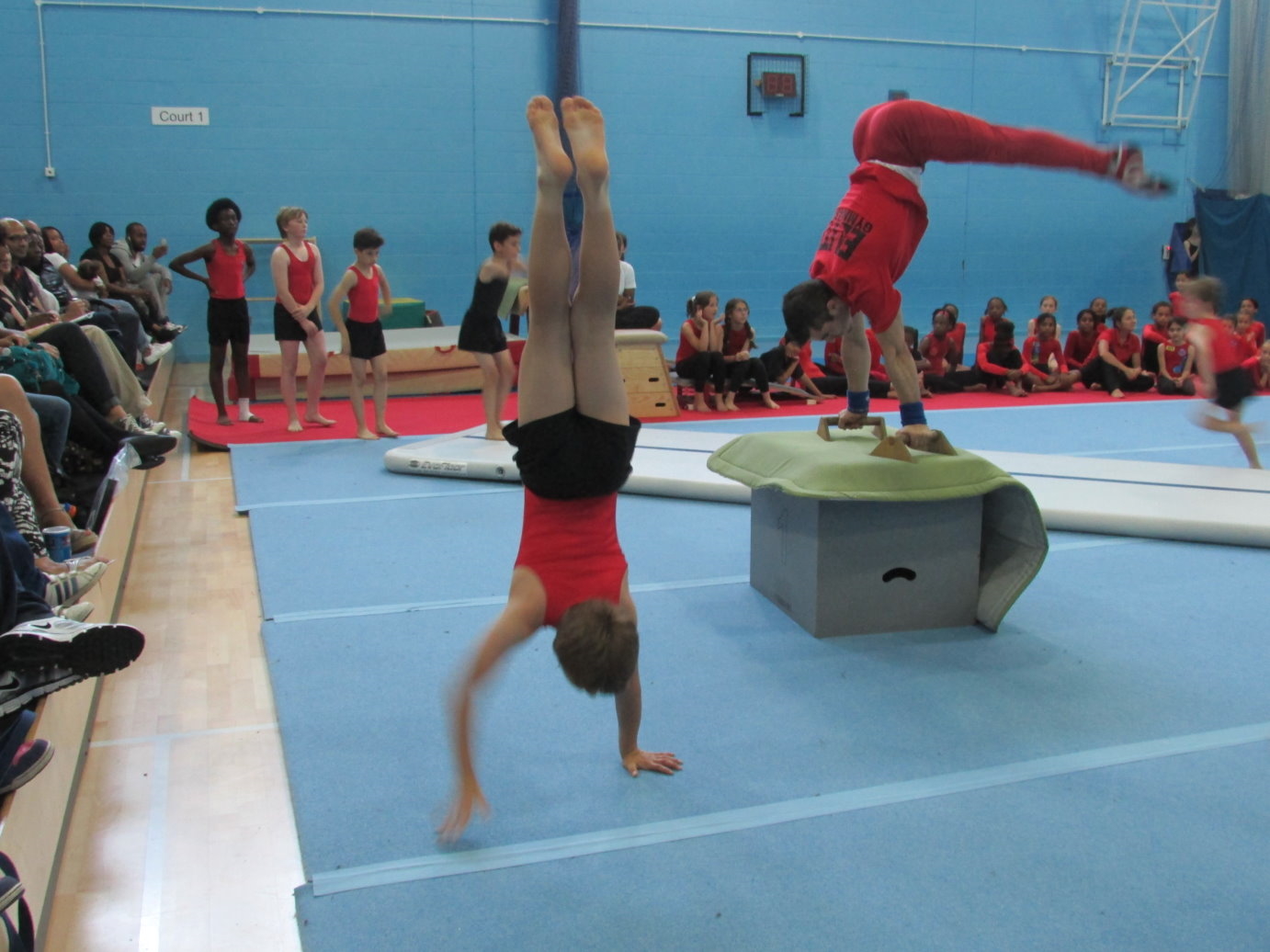 Elite Gymnastics Club Performance