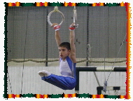 5th place in Bulgarian All-around (David Shaumian)
