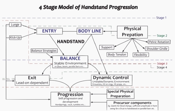 4 Stage Model of Handstand Progression